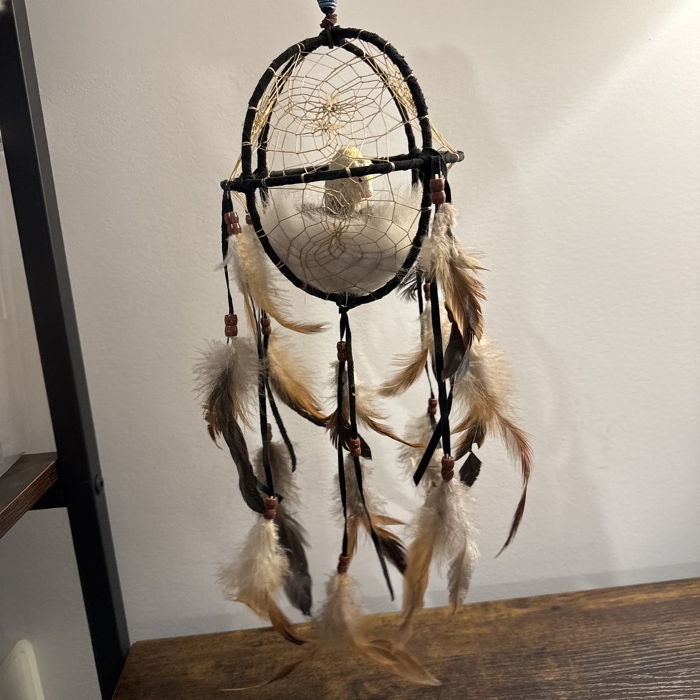 Native American Style Buffalo Tatonka Cage Dream Catcher Sacred Spirits Sphere